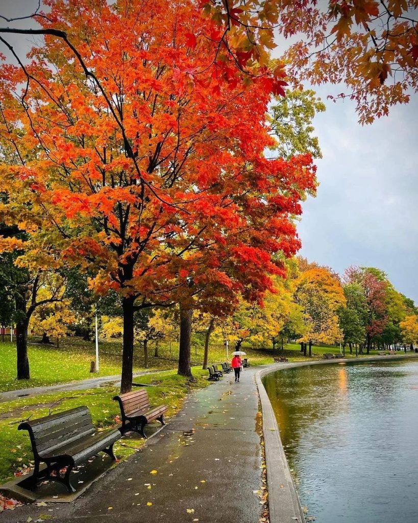 la fontaine park